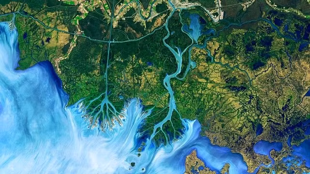 Kinh ngac nhung buc anh chup tu ve tinh nhu tac pham nghe thuat-Hinh-4