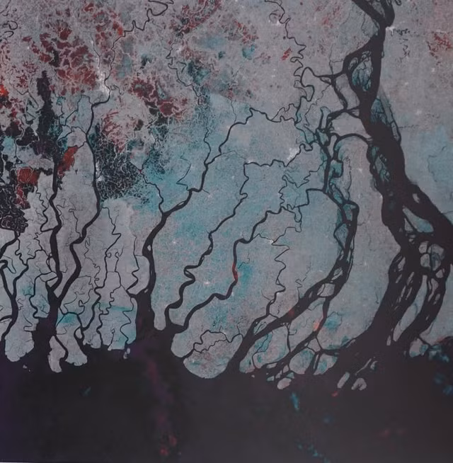 Kinh ngac nhung buc anh chup tu ve tinh nhu tac pham nghe thuat-Hinh-9