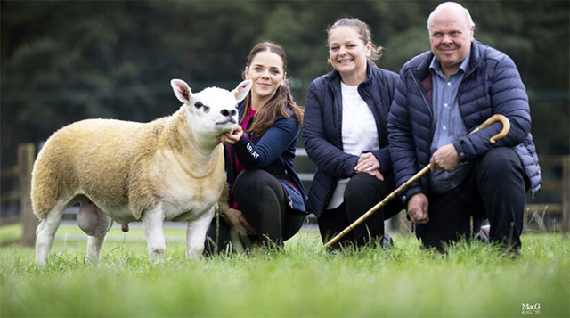 Bất ngờ con cừu có giá tới 11,37 tỷ đồng - Hình 2 Bat ngo con cuu co gia toi 11,37 ty dong-Hinh-2