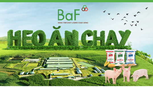 BAF sắp phát hành 68,4 triệu cổ phiếu khi lợi nhuận lao dốc, vay nợ tăng vọt BAF sap phat hanh 68,4 trieu co phieu khi loi nhuan lao doc, vay no tang vot