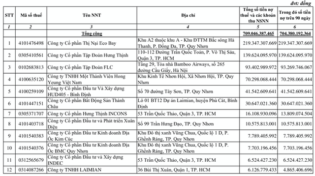 Thị Nại Eco Bay bị bêu tên nợ thuế gần 220 tỷ đồng Thi Nai Eco Bay bi beu ten no thue gan 220 ty dong