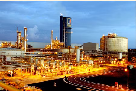 DPM sap chi gan 1.200 ty tra co tuc 30% cho co dong-Hinh-3