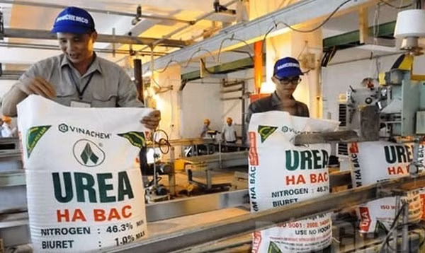 Quy 3 tiep tuc lo, Dam Ha Bac lo luy ke hon 3.000 ty, keo von chu so huu am nang