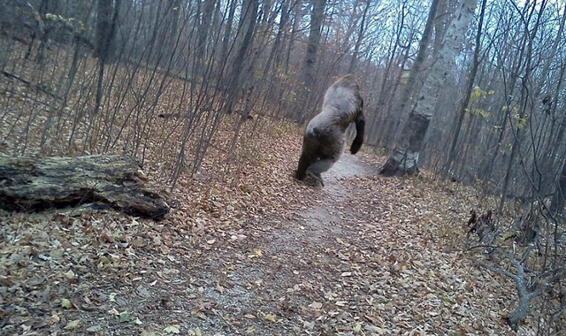 Những chuyện lạ cực thú vị như không tưởng - Hình 6 Nhung chuyen la cuc thu vi nhu khong tuong-Hinh-6