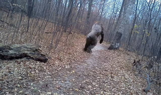 Nhung chuyen la cuc thu vi nhu khong tuong-Hinh-6