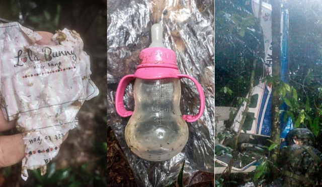 4 đứa trẻ sống sót trong rừng sau rơi máy bay: Những chi tiết kinh ngạc - Hình 11 4 dua tre song sot trong rung sau roi may bay: Nhung chi tiet kinh ngac-Hinh-11