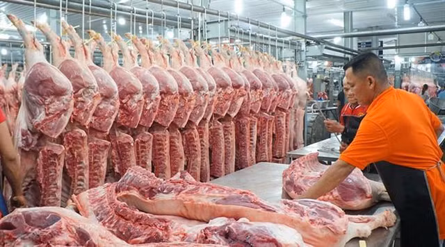 Gia heo hoi hom nay 17/7: Nhieu noi tien ve moc 90.000 dong/kg