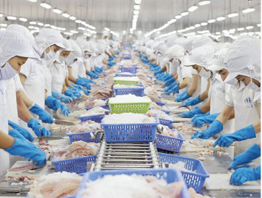 Vi sao VHC dat ke hoach loi nhuan 2023 kem tich cuc?