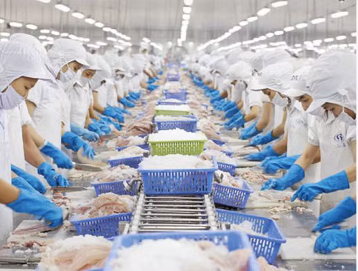 Vi sao VHC dat ke hoach loi nhuan 2023 kem tich cuc?