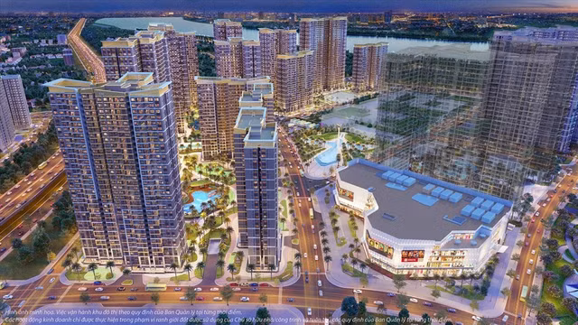 Ban lanh dao Vinhomes da giai quyet nhung lo ngai chinh the nao?-Hinh-2