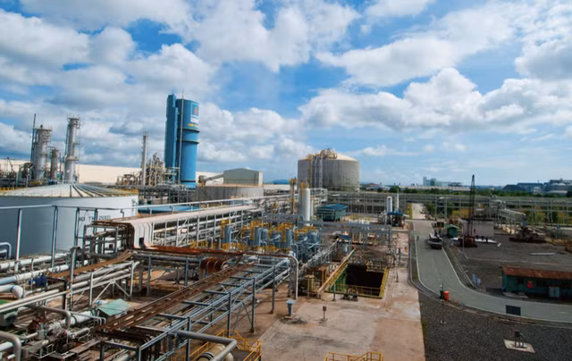 DPM dat tong san luong tieu thu 230 ngan tan sau 4 thang-Hinh-2