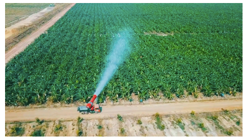 Thế khó của HAGL Agrico khi Thagrico dừng rót vốn thêm - Hình 4 The kho cua HAGL Agrico khi Thagrico dung rot von them-Hinh-4