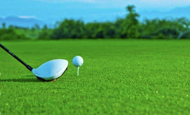 No gap 5 lan von chu, vi sao Golf Long Hung muon gom Damsan?