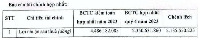 Loạt vấn đề tại báo cáo kiểm toán 2023 của Đại Việt Group DVG do kế toán Loat van de tai bao cao kiem toan 2023 cua Dai Viet Group DVG do ke toan