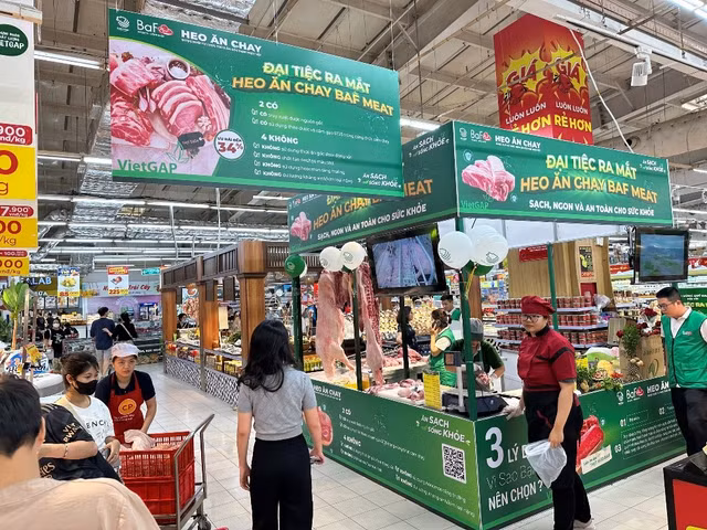 Loat sai pham ve cong bo thong tin, BAF Viet Nam bi phat hon 242 trieu dong