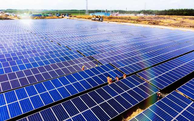 Bamboo Capital: Đòn cân nợ giảm mạnh, lãi sau thuế hơn 354 tỷ trong quý 2 Bamboo Capital: Don can no giam manh, lai sau thue hon 354 ty trong quy 2