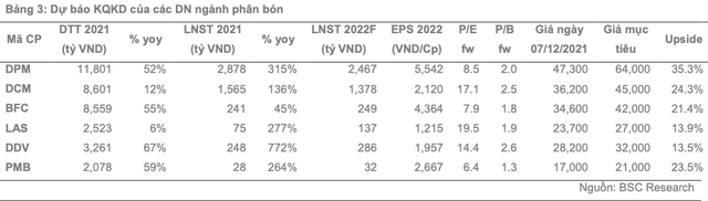 Loi nhuan DPM, DCM va BFC duoc du bao tang truong dot bien sang tan 2022-Hinh-3