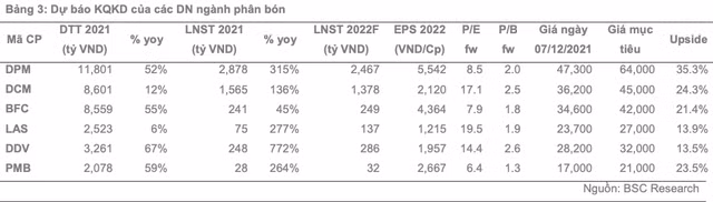 Loi nhuan DPM, DCM va BFC duoc du bao tang truong dot bien sang tan 2022-Hinh-3
