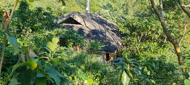 Can canh loat biet thu bo hoang duoi chan nui Son Tra o Da Nang-Hinh-7