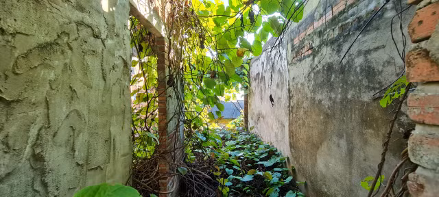 Can canh loat biet thu bo hoang duoi chan nui Son Tra o Da Nang-Hinh-12