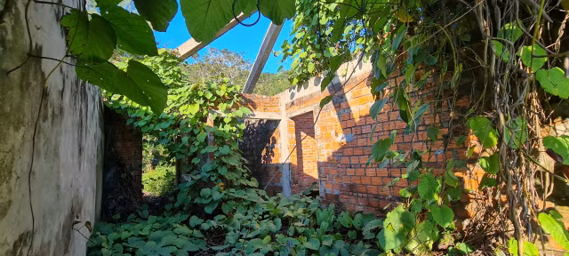 Can canh loat biet thu bo hoang duoi chan nui Son Tra o Da Nang-Hinh-11