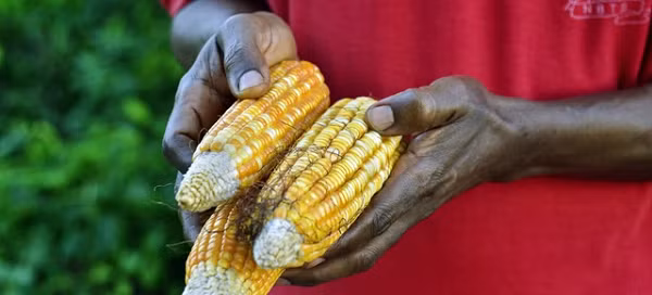 Van menh the gioi cuc soc trong nam 2022 tu du doan cua than dong tien tri An Do-Hinh-8