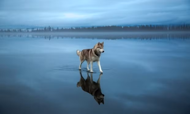 Loat anh hiem den kho tin, nen xem it nhat mot lan trong doi-Hinh-4