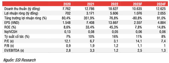 DPM du kien 'boi thu' tu nua cuoi 2023 cung voi xu huong gia ure-Hinh-4
