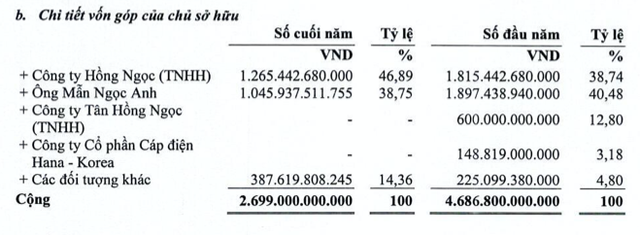 Lãi lao dốc, Chủ KCN Hanaka giảm phân nửa vốn điều lệ xuống còn 2.699 tỷ - Hình 4 Lai lao doc, Chu KCN Hanaka giam phan nua von dieu le xuong con 2.699 ty-Hinh-4