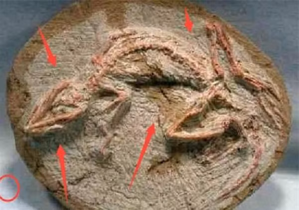 Phat hien bau vat ben trong nhung vien da la lung-Hinh-4