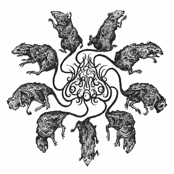 Vi sao 'vua chuot' xuat hien lai bao hieu diem go?-Hinh-11