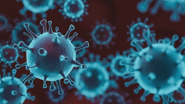 Mu - biến chủng COVID-19 khiến WHO quan ngại như nào? - Hình 6 Mu - bien chung COVID-19 khien WHO quan ngai nhu nao?-Hinh-6