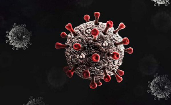 Mu - biến chủng COVID-19 khiến WHO quan ngại như nào? - Hình 12 Mu - bien chung COVID-19 khien WHO quan ngai nhu nao?-Hinh-12