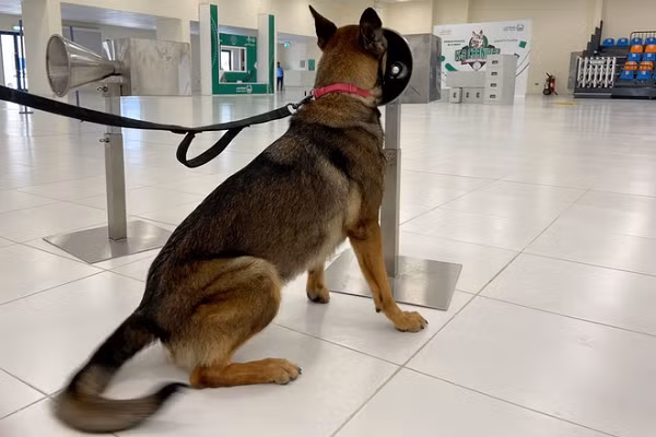 Thu vi doi cho dac nhiem chuyen danh hoi COVID-19-Hinh-2