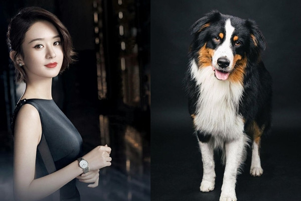 Top con giáp tài lộc đầy tay, tiền tiêu cả mớ trong 10 ngày cuối tháng 7/2019 - Hình 3 Top con giap tai loc day tay, tien tieu ca mo trong 10 ngay cuoi thang 7/2019-Hinh-3