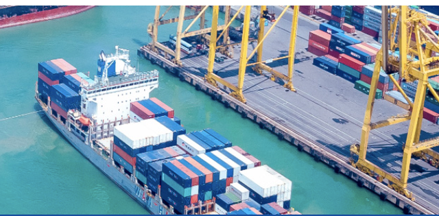 Vinalines: Khối vận tải biển đã có lãi hơn 1.000 tỷ sau nhiều năm thua lỗ Vinalines: Khoi van tai bien da co lai hon 1.000 ty sau nhieu nam thua lo