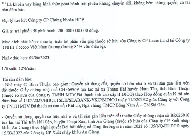 Mất khả năng thanh toán, VKC liên quan nhóm Louis đang vay nợ ngân hàng nào? Mat kha nang thanh toan, VKC lien quan nhom Louis dang vay no ngan hang nao?