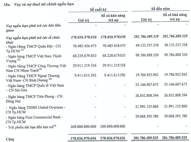 Mất khả năng thanh toán, VKC liên quan nhóm Louis đang vay nợ ngân hàng nào? - Hình 3 Mat kha nang thanh toan, VKC lien quan nhom Louis dang vay no ngan hang nao?-Hinh-3