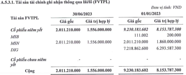 Chứng khoán Liên Việt dứt lỗ trong quý 2, danh mục có DIG, MSN và TCB - Hình 2 Chung khoan Lien Viet dut lo trong quy 2, danh muc co DIG, MSN va TCB-Hinh-2