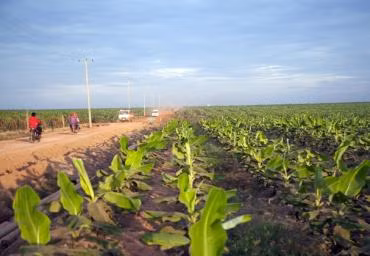 HAG dang lam viec ve vi pham hop dong vay va trai phieu, tai co cau no