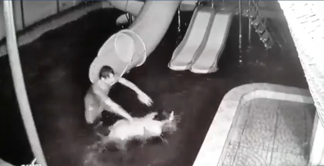 Chồng vũ phu đánh, xích chân vợ, phụ nữ ơi tiếc gì nữa... - Hình 9 Chong vu phu danh, xich chan vo, phu nu oi tiec gi nua...-Hinh-9