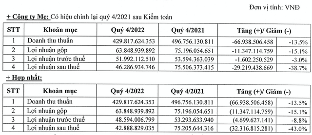 Lãi quý 4/2022 giảm mạnh, cổ phiếu STK bị khuyến nghị kém khả quan Lai quy 4/2022 giam manh, co phieu STK bi khuyen nghi kem kha quan