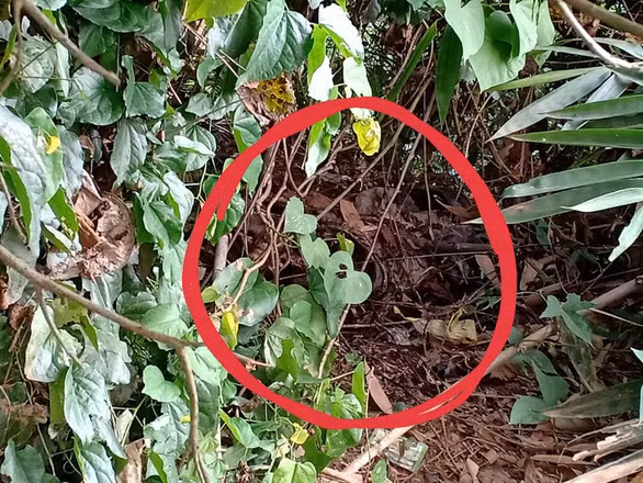 Hai vo chong di hai rau hoang hot phat hien nua thi the nguoi, khong co phan lung va dau