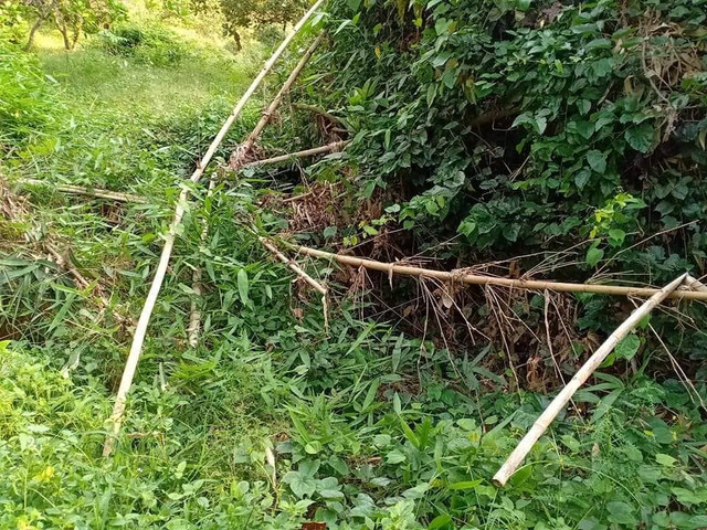 Đã xác định được danh tính của thi thể không đầu ở Bình Phước Da xac dinh duoc danh tinh cua thi the khong dau o Binh Phuoc