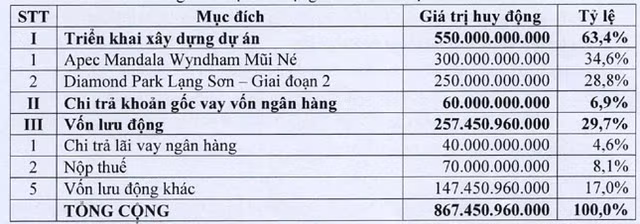 IDJ tang manh, Dau tu IDJ len ke hoach lai 246 ty va phat hanh 145 trieu cp