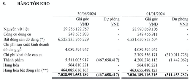 QCG noi gi ve thua lo va hon 7.000 ty hang ton kho?-Hinh-2