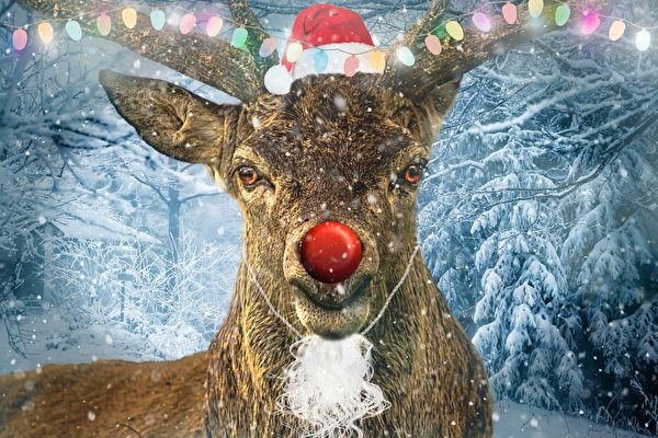 Hé lộ sự thật ít ai biết về Giáng sinh và ông già Noel - Hình 4 He lo su that it ai biet ve Giang sinh va ong gia Noel-Hinh-4