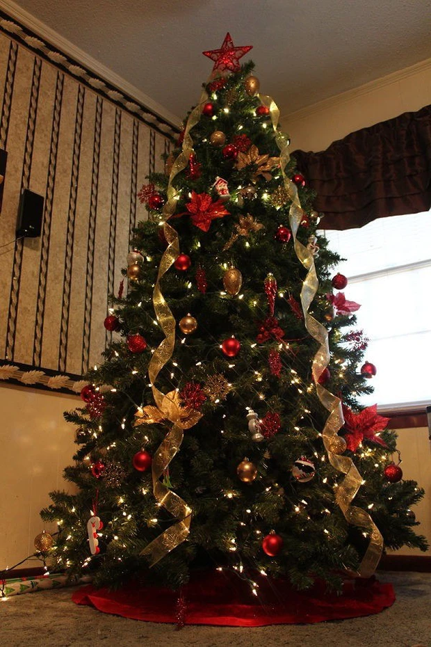 Hé lộ sự thật ít ai biết về Giáng sinh và ông già Noel - Hình 5 He lo su that it ai biet ve Giang sinh va ong gia Noel-Hinh-5