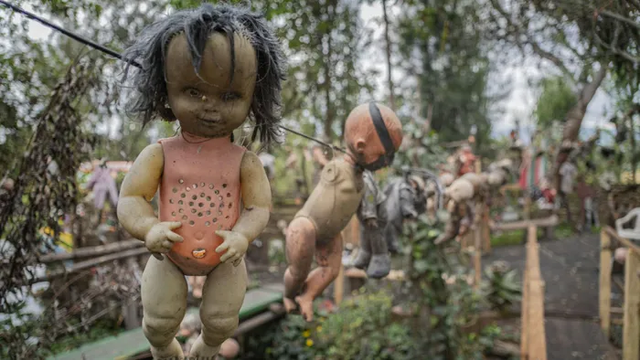 Khám phá hòn đảo đáng sợ nhất thế giới - Hình 4 Kham pha hon dao dang so nhat the gioi-Hinh-4