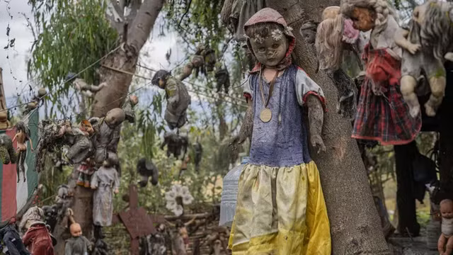 Kham pha hon dao dang so nhat the gioi-Hinh-3